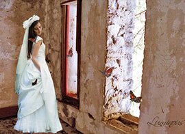Bridal Photographers DFW